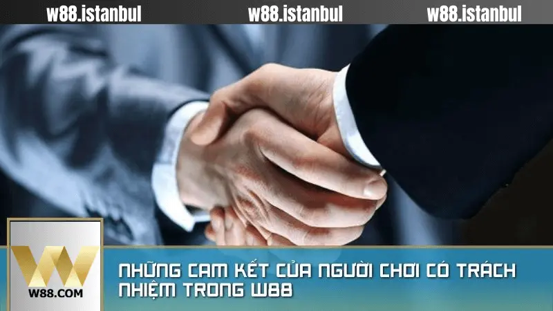 Các Dịch Vụ Hỗ Trợ Người Chơi Cá Cược Trách Nhiệm Của W88